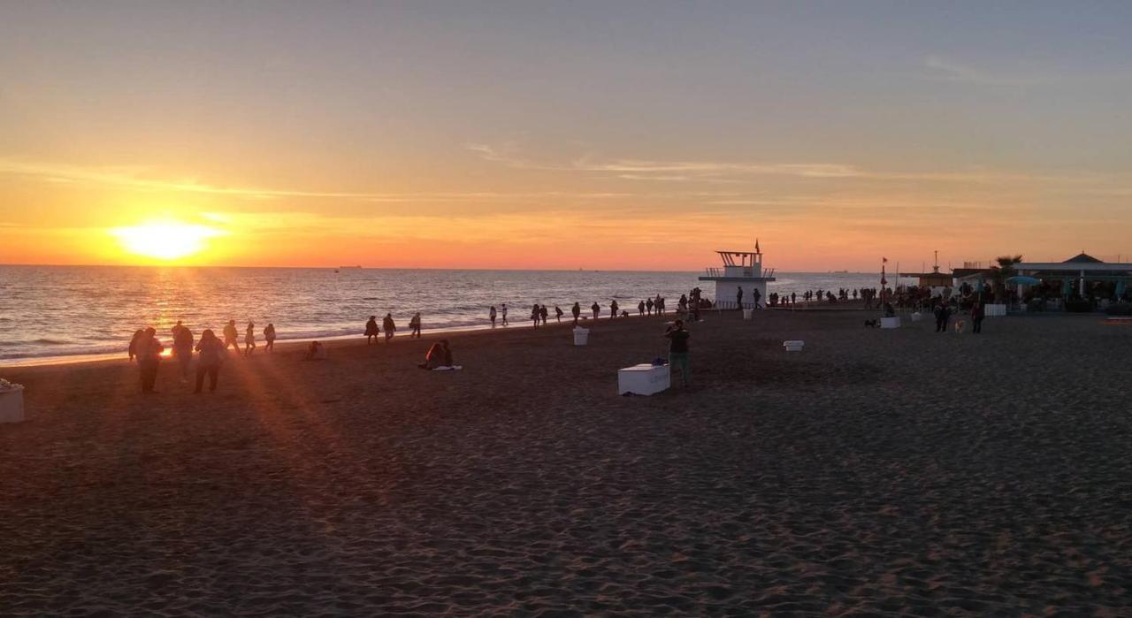 From Ostia Beach To Rome & Airport In A Heartbeat! 외부 사진